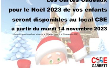 DISTRIBUTION CARTE CADEAUX NOEL